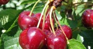 Вълшебните свойства на черешите Вълшебните свойства на черешите