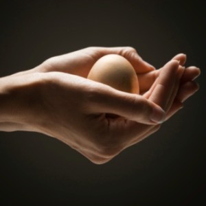 черупка от яйце за здрави нокти
